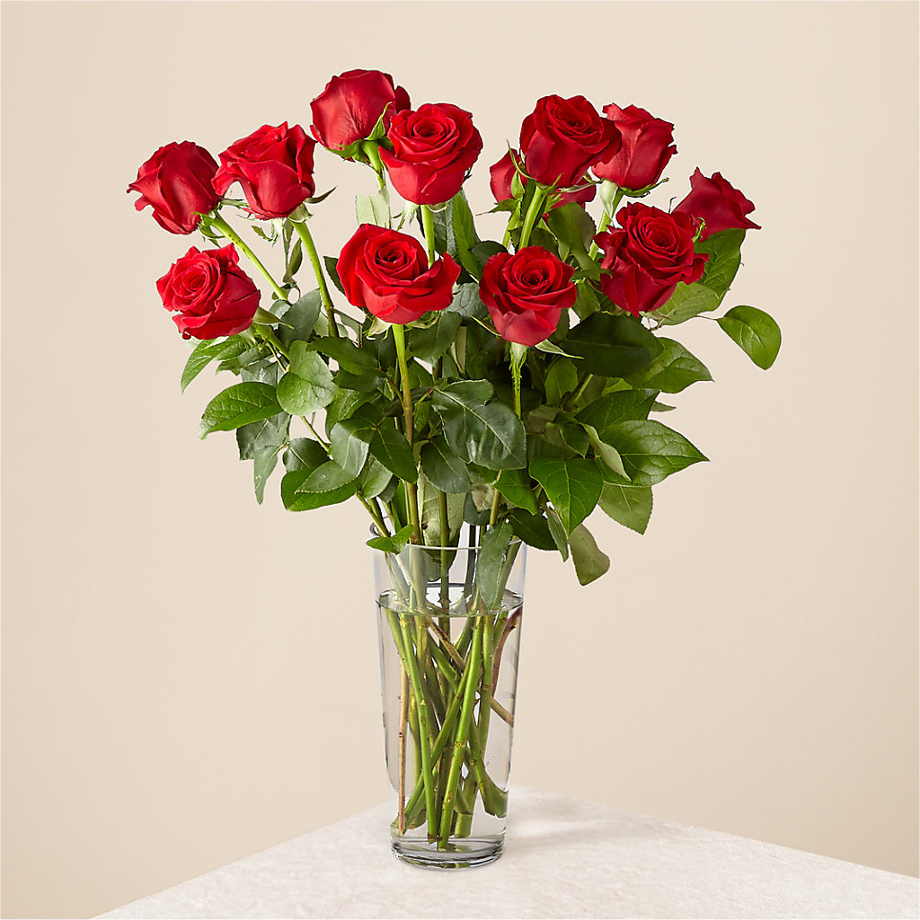 Long Stem Red Rose Bouquet – FLORAL & SILKS, Webster NY