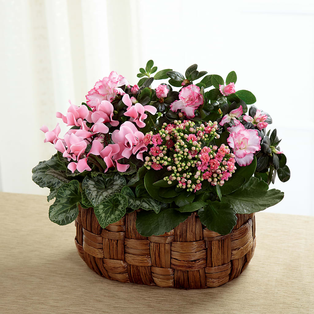 Pink Assortment – FLORAL & SILKS, Webster NY