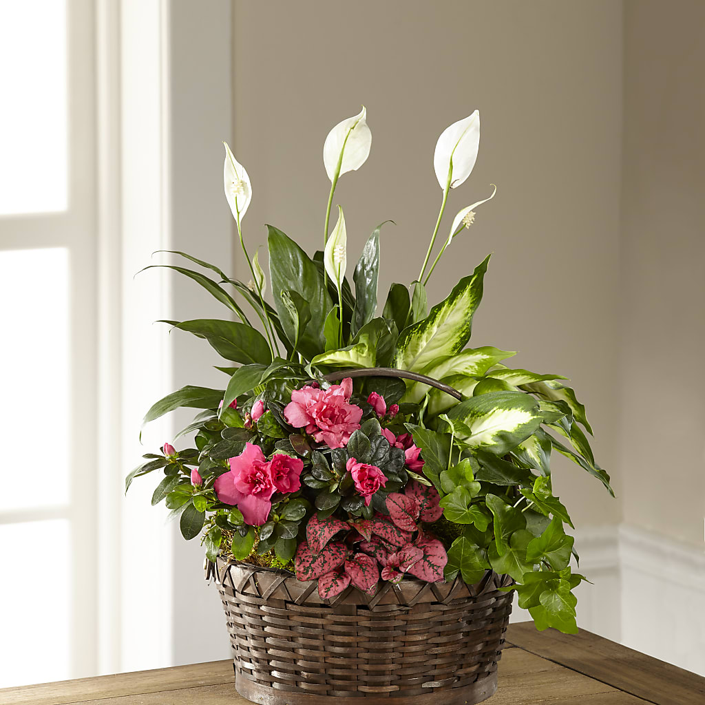 Dream in Pink Dishgarden – FLORAL & SILKS, Webster NY