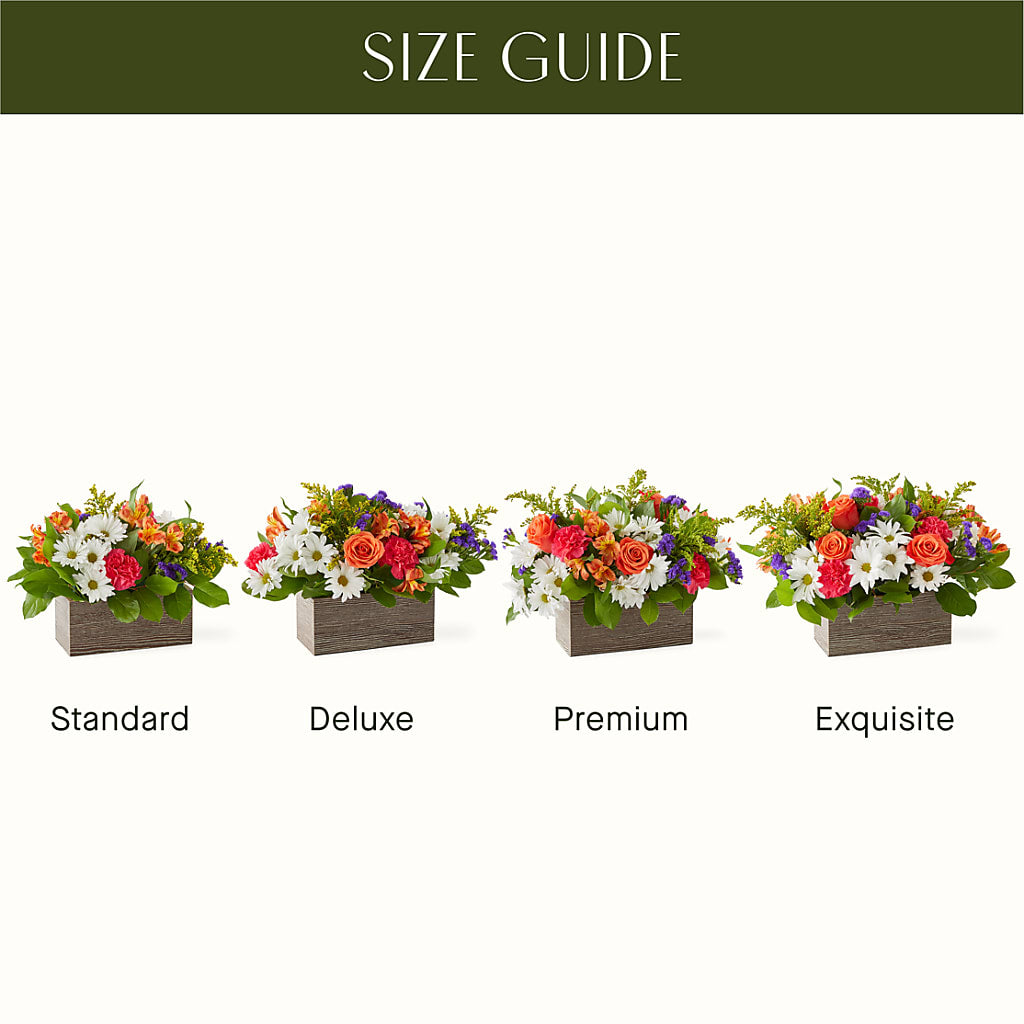 Oopsie Daisy Box Bouquet – FLORAL & SILKS, Webster NY