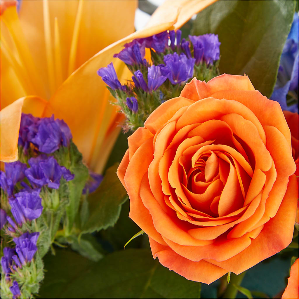 Radiant Citrus Box Bouquet – FLORAL & SILKS, Webster NY