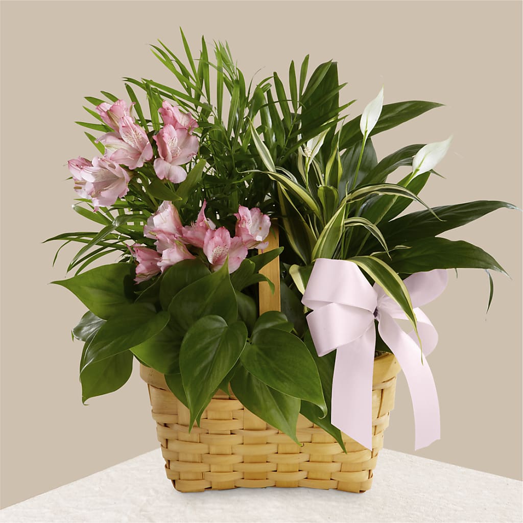 Living Spirit Dishgarden – FLORAL & SILKS, Webster NY