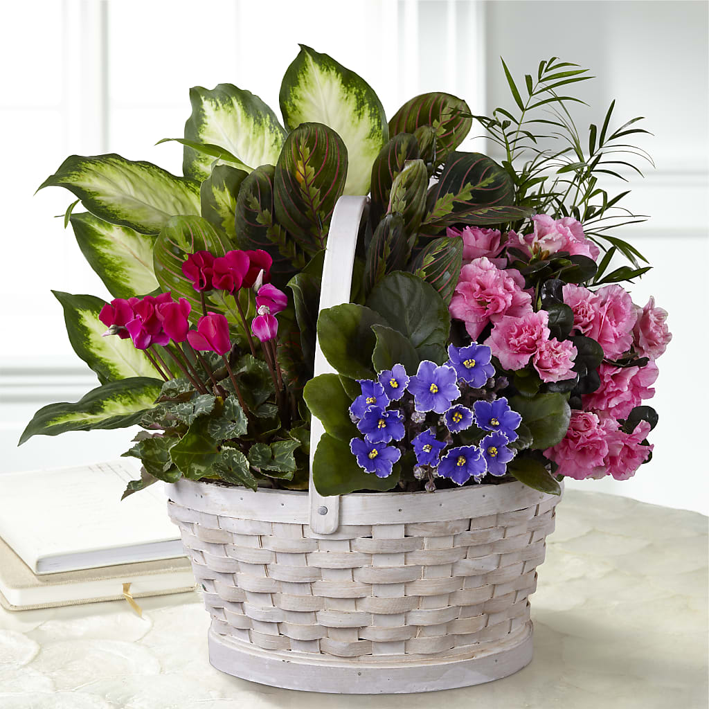 Peaceful Garden Planter – FLORAL & SILKS, Webster NY