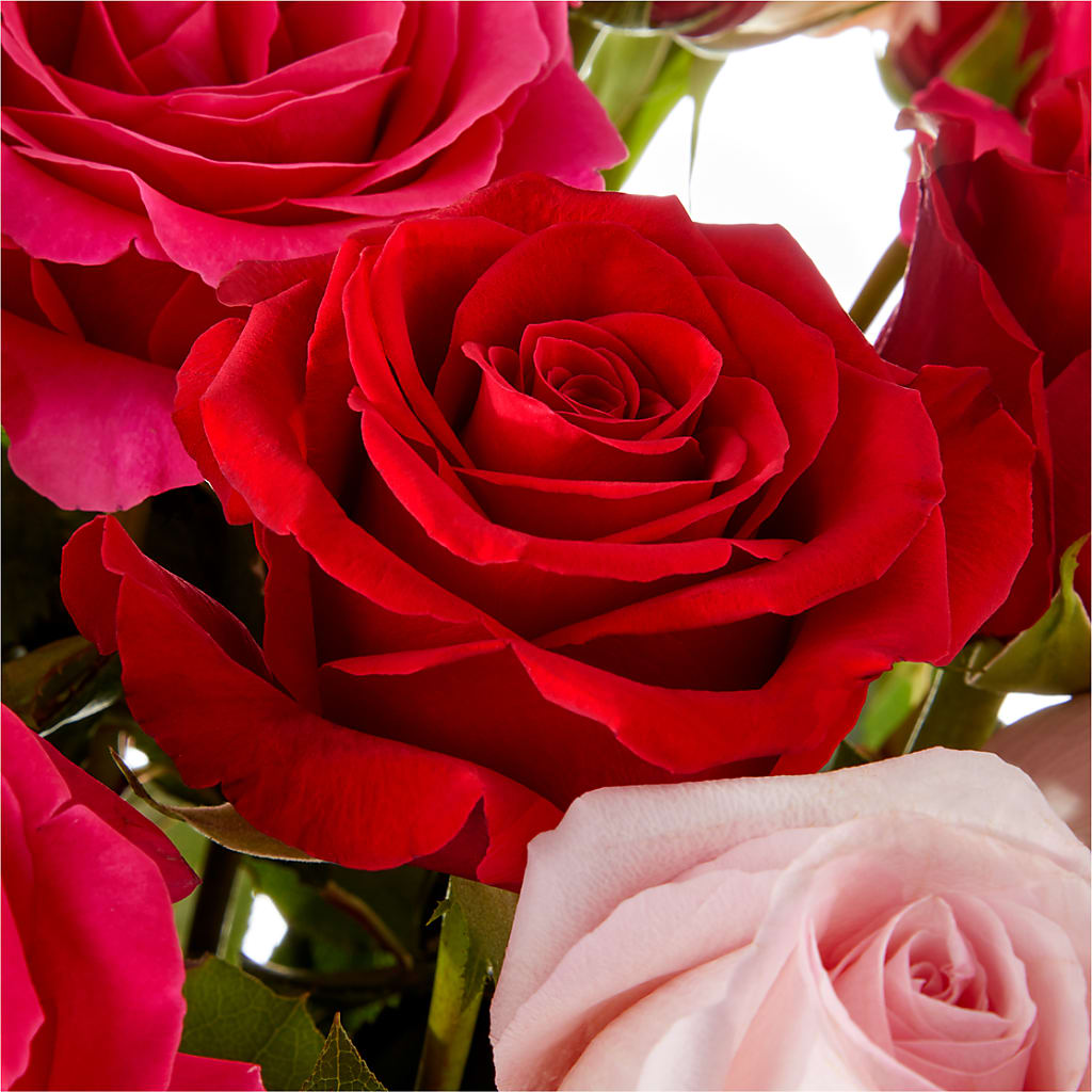 Love Notes Rose Bouquet – FLORAL & SILKS, Webster NY