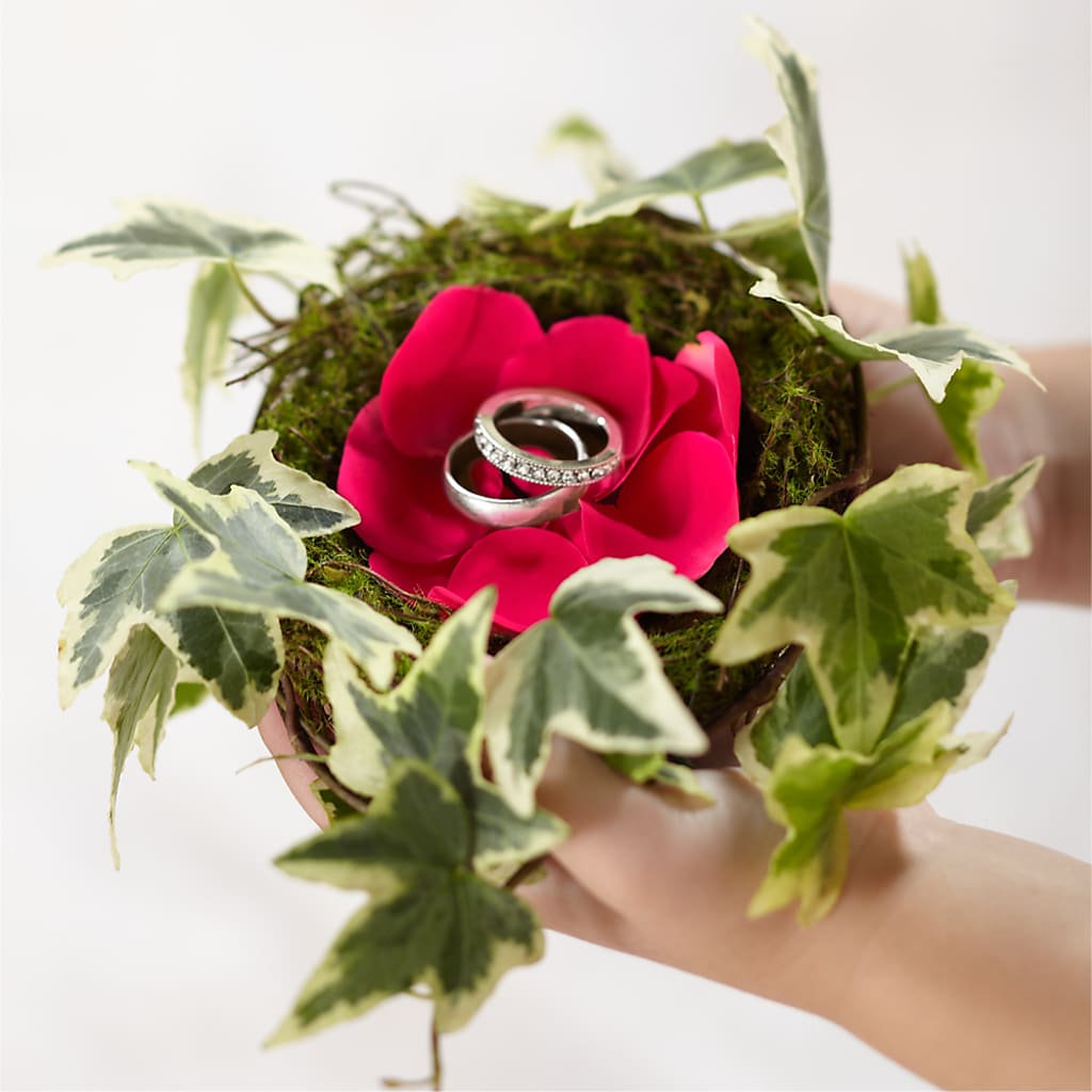 Lila Rose Ring Nest – FLORAL & SILKS, Webster NY