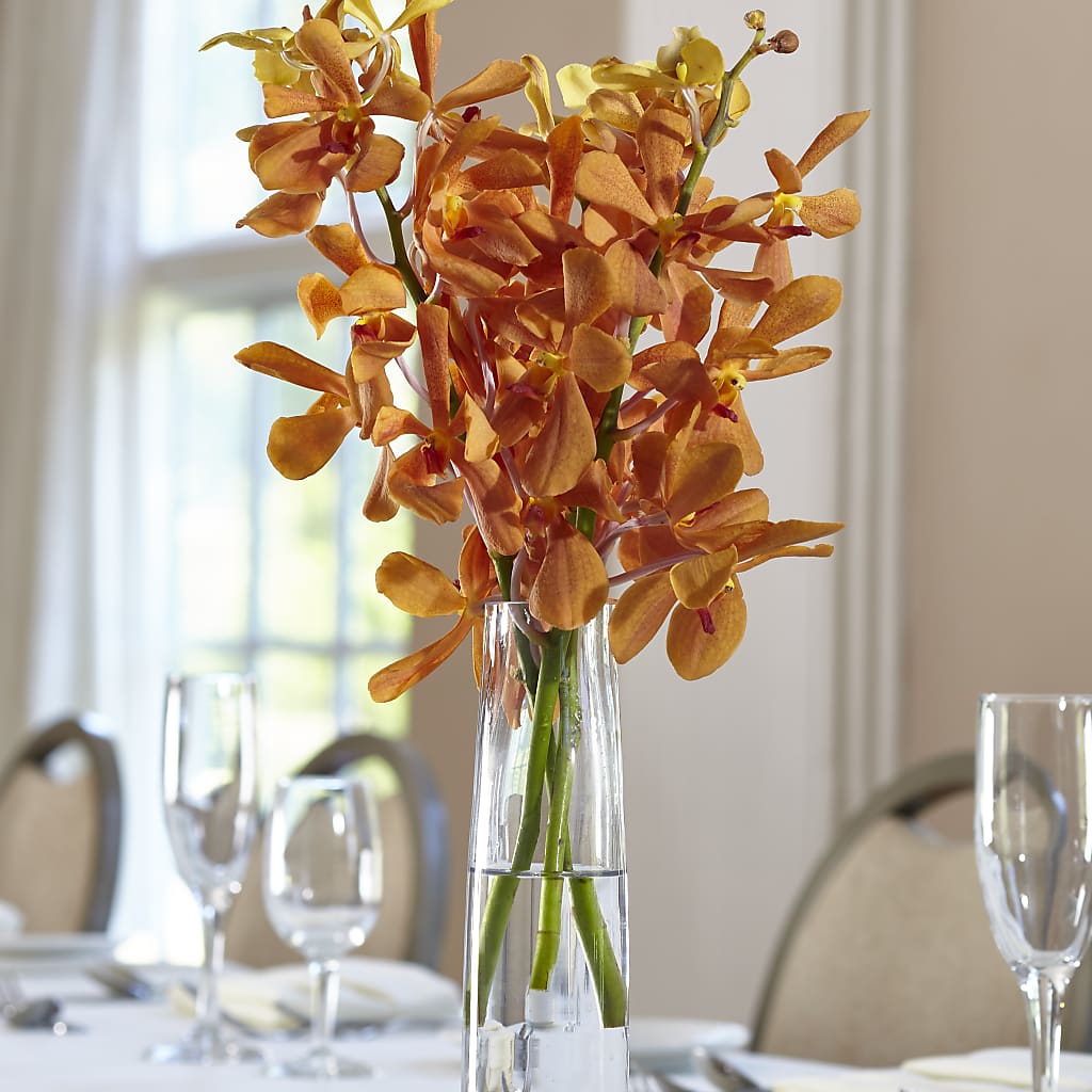 Orange Mokara Bud Vase – FLORAL & SILKS, Webster NY