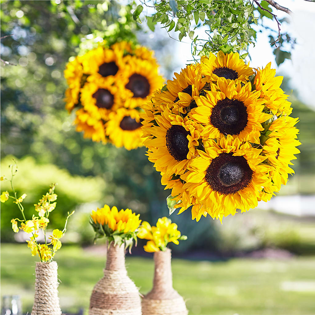 Sublime Garden Hanging Arrangement – FLORAL & SILKS, Webster NY