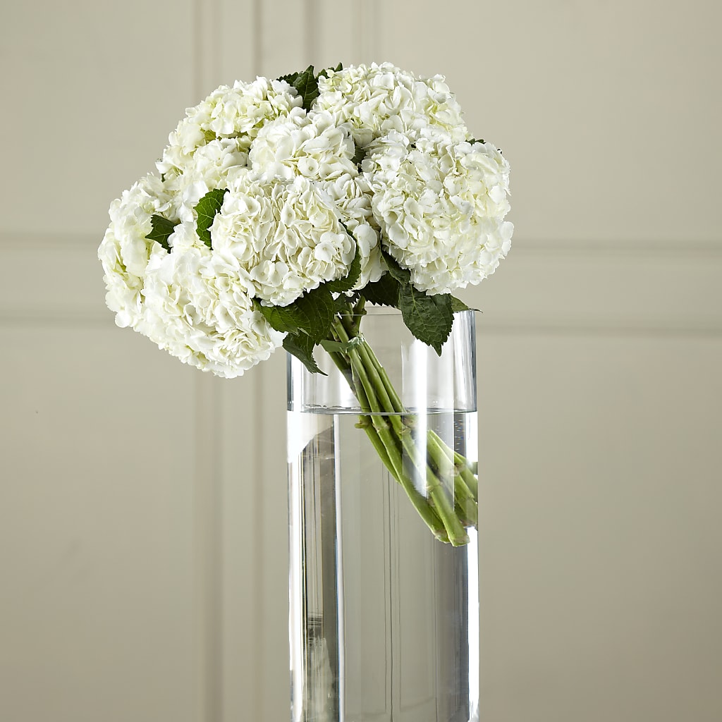 White Hydrangea Hand-Tied Bouquet – FLORAL & SILKS, Webster NY
