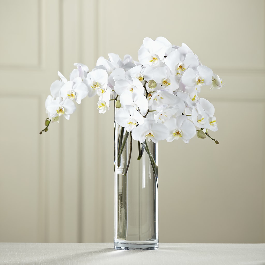 White Phalaenopsis Bouquet – FLORAL & SILKS, Webster NY