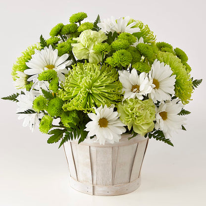 Lucky Charm Basket (Standard) – FLORAL & SILKS, Webster NY