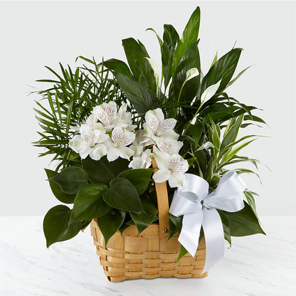 Peace & Serenity Dishgarden – FLORAL & SILKS, Webster NY