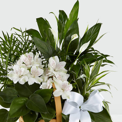 Peace & Serenity Dishgarden – FLORAL & SILKS, Webster NY