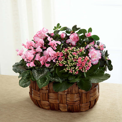 Pink Assortment – FLORAL & SILKS, Webster NY