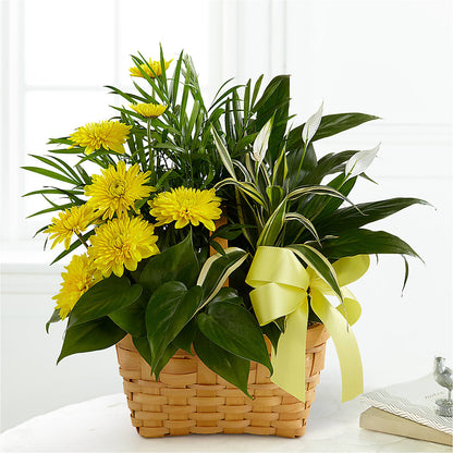 Loving Light Dishgarden – FLORAL & SILKS, Webster NY
