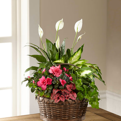 Dream in Pink Dishgarden – FLORAL & SILKS, Webster NY