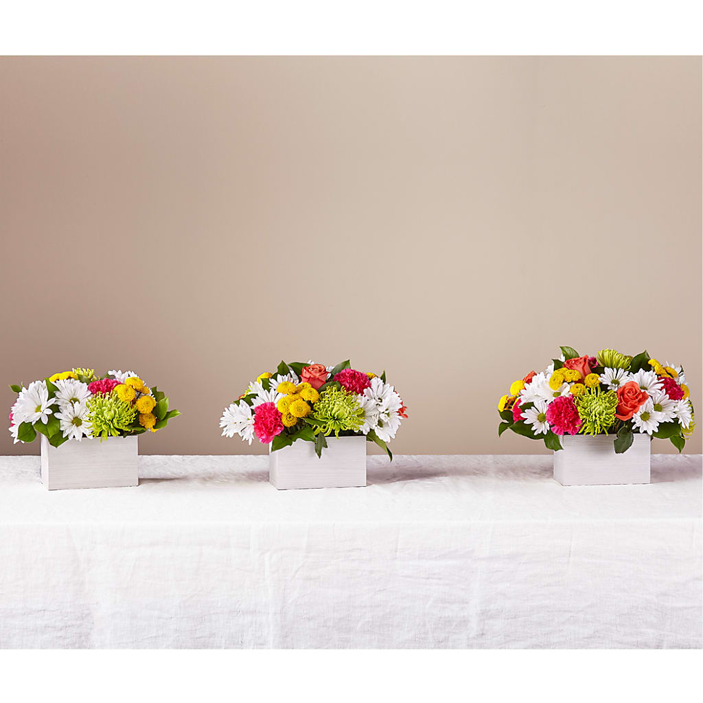 Sorbet Bouquet – FLORAL & SILKS, Webster NY