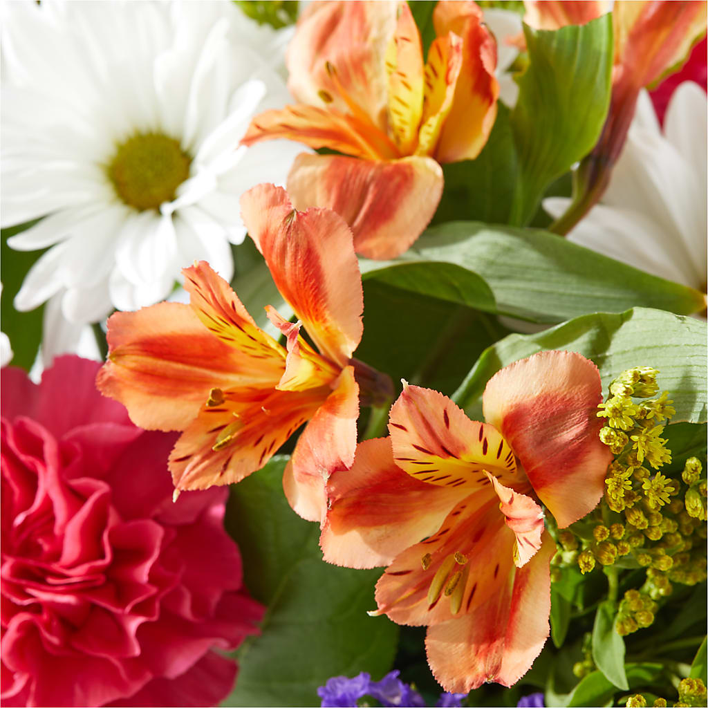 Oopsie Daisy Box Bouquet – FLORAL & SILKS, Webster NY