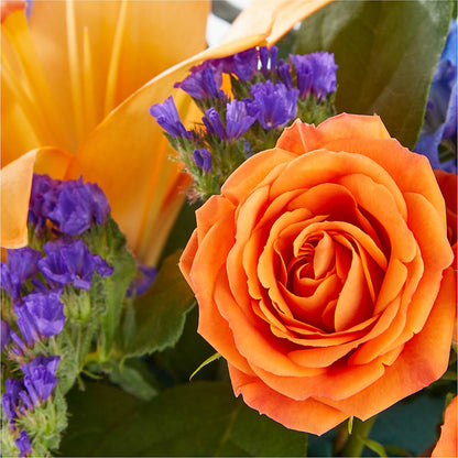 Radiant Citrus Box Bouquet – FLORAL & SILKS, Webster NY