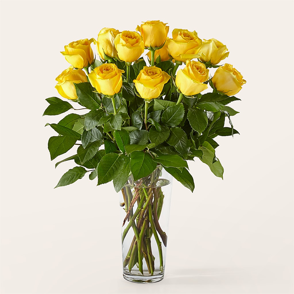 Long Stem Yellow Rose Bouquet – FLORAL & SILKS, Webster NY