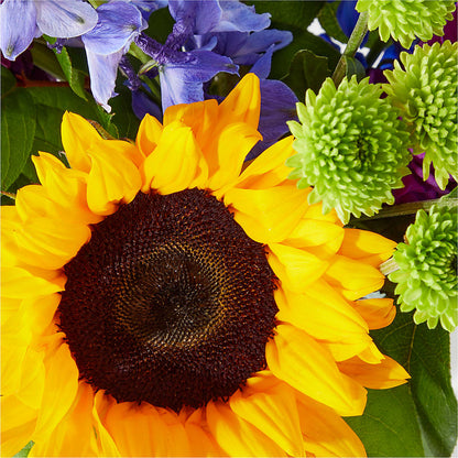Catching Rays Bouquet – FLORAL & SILKS, Webster NY