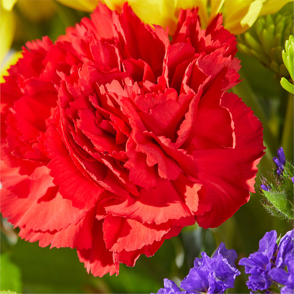 Brighter Days Bouquet – FLORAL & SILKS, Webster NY