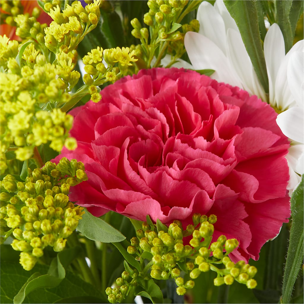 Oopsie Daisy Bouquet – FLORAL & SILKS, Webster NY