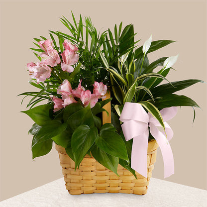 Living Spirit Dishgarden – FLORAL & SILKS, Webster NY