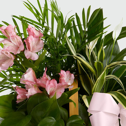 Living Spirit Dishgarden – FLORAL & SILKS, Webster NY