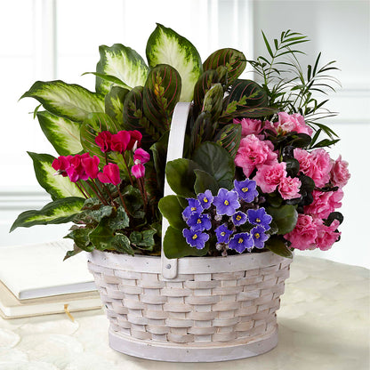 Peaceful Garden Planter – FLORAL & SILKS, Webster NY