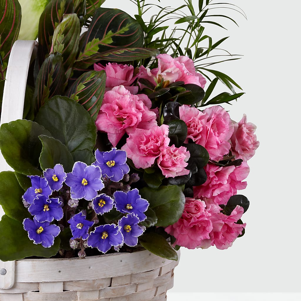 Peaceful Garden Planter – FLORAL & SILKS, Webster NY