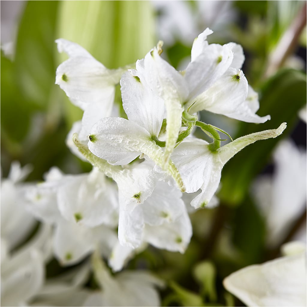 Classic Ivory – A Florist Original – FLORAL & SILKS, Webster NY