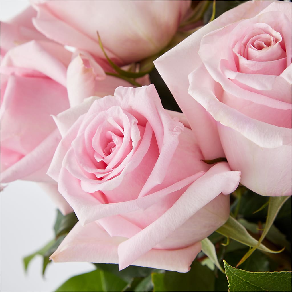 Picture Perfect Pink Rose Bouquet – FLORAL & SILKS, Webster NY