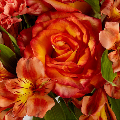 Apricot Glow Bouquet – FLORAL & SILKS, Webster NY
