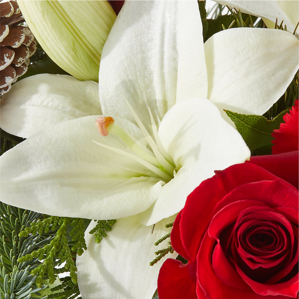 Oh So Jolly Bouquet – FLORAL & SILKS, Webster NY