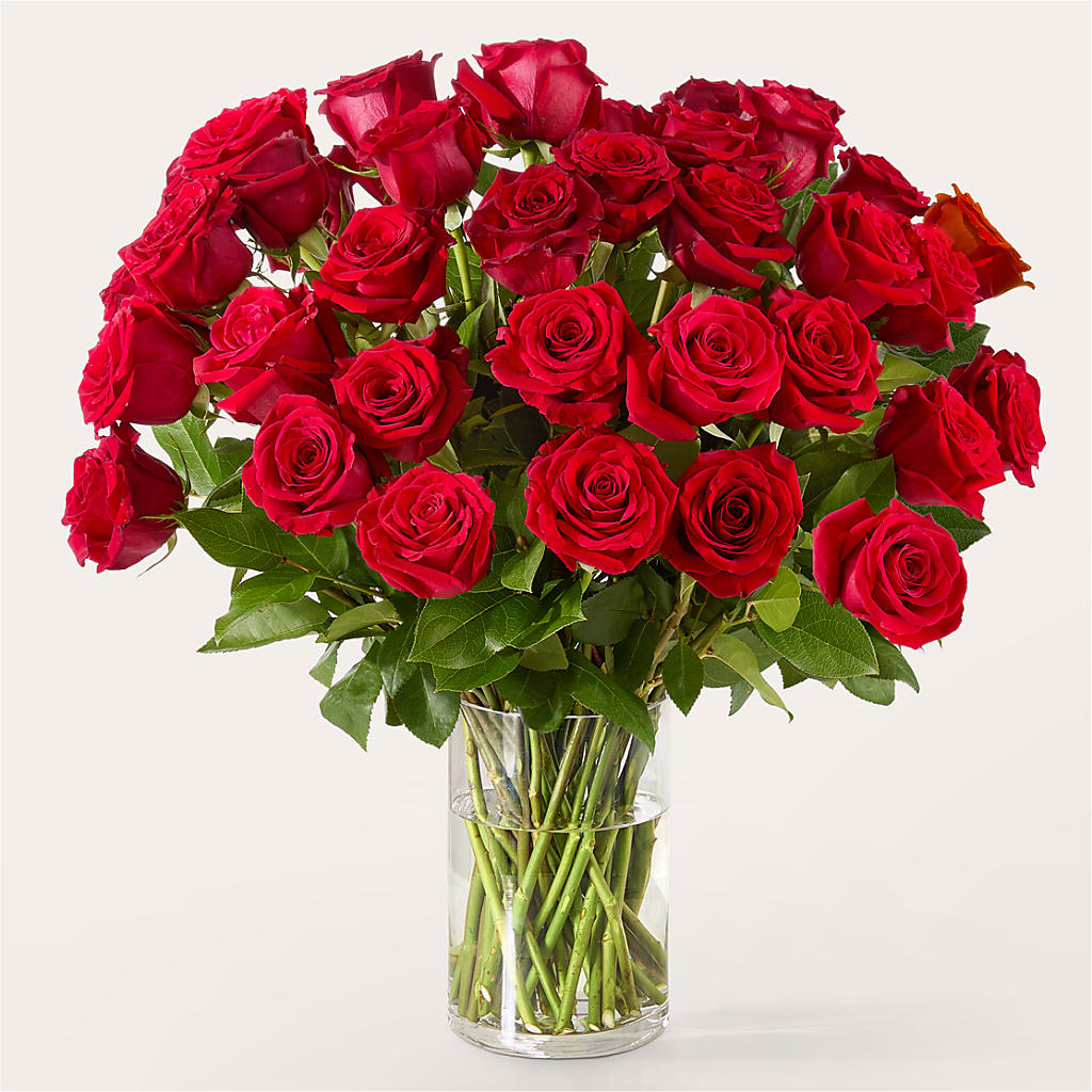 The One Red Rose Bouquet – FLORAL & SILKS, Webster NY