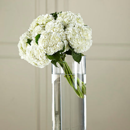 White Hydrangea Hand-Tied Bouquet – FLORAL & SILKS, Webster NY