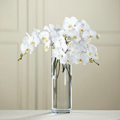 White Phalaenopsis Bouquet – FLORAL & SILKS, Webster NY